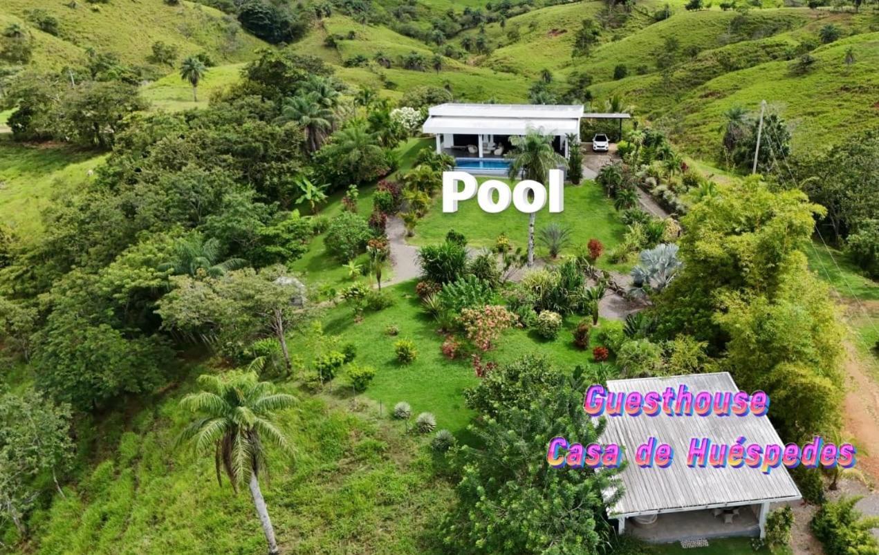Finca Colibri Boca Chica Zewnętrze zdjęcie