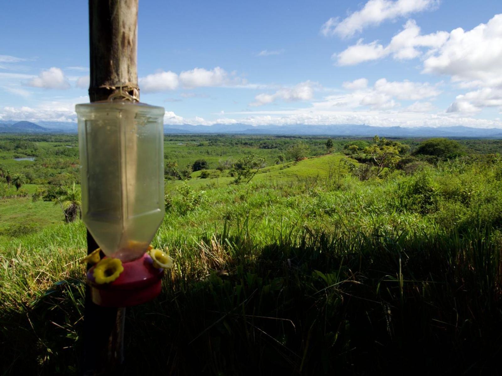 Finca Colibri Boca Chica Zewnętrze zdjęcie