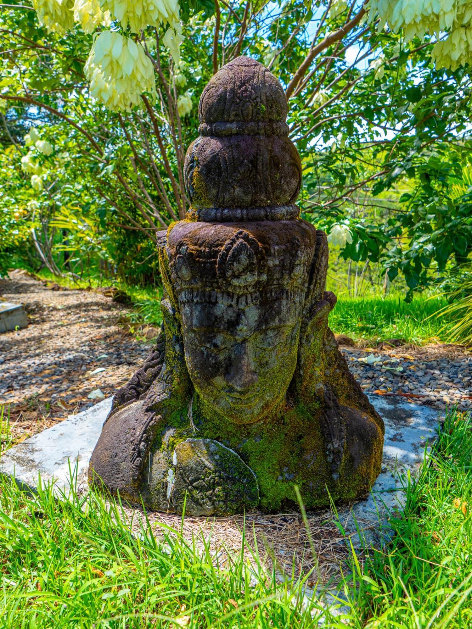 Finca Colibri Boca Chica Zewnętrze zdjęcie